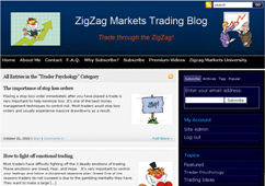 Zigzag Markets Website Design
